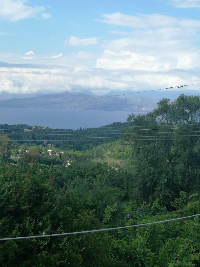 Olive Grove Deluxe Apartment Αγνίτσινη Εξωτερικό φωτογραφία