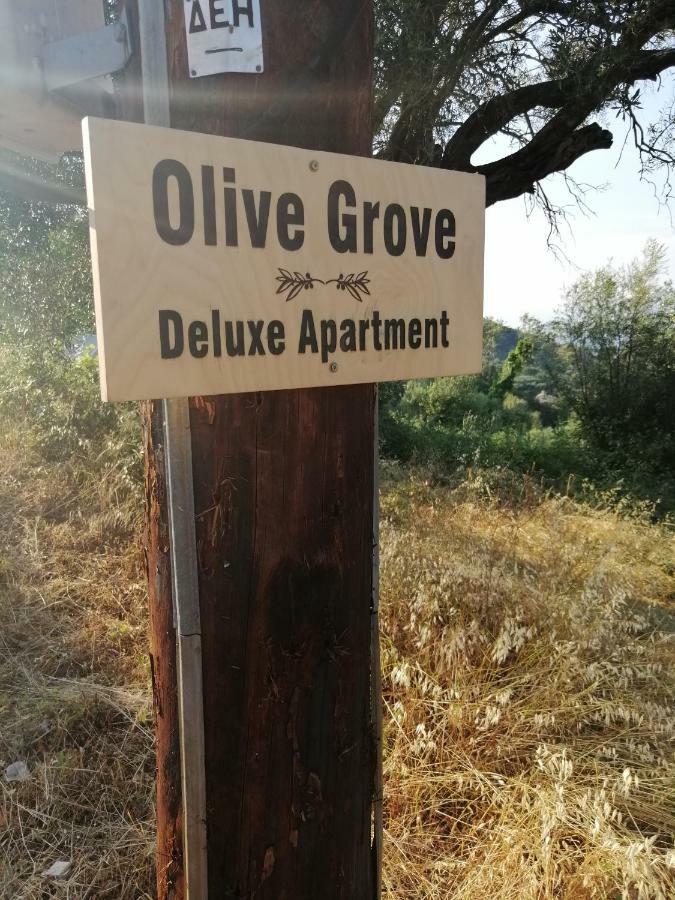 Olive Grove Deluxe Apartment Αγνίτσινη Εξωτερικό φωτογραφία