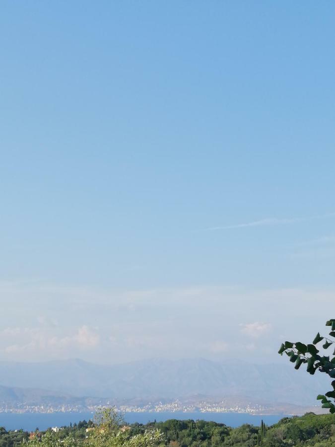 Olive Grove Deluxe Apartment Αγνίτσινη Εξωτερικό φωτογραφία